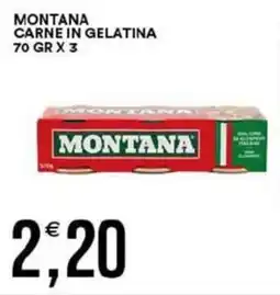 Vantaggio Cash&Carry Montana carne in gelatina offerta