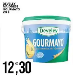Vantaggio Cash&Carry Develey maionese gourmayo offerta