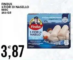 Vantaggio Cash&Carry Findus 5 fiori di nasello msc offerta
