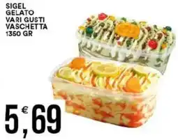 Vantaggio Cash&Carry Sigel gelato offerta