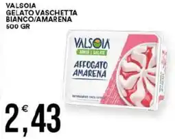 Vantaggio Cash&Carry Valsoia gelato vaschetta bianco/amarena offerta