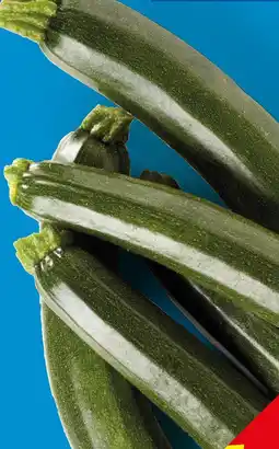 Lidl Zucchine offerta