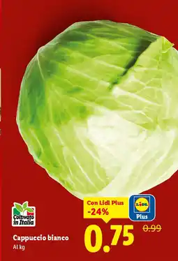 Lidl Cappuccio bianco offerta