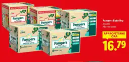 Lidl Pampers Baby Dry offerta