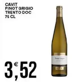 Vantaggio Cash&Carry Cavit pinot grigio trento doc offerta