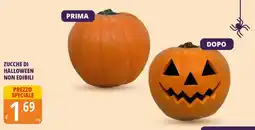 Tigros Zucche di halloween non edibili offerta