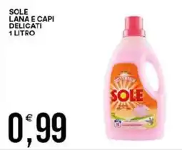 Vantaggio Cash&Carry Sole lana e capi delicati offerta