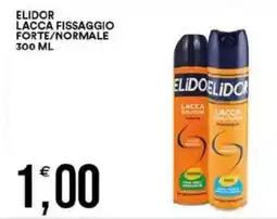 Vantaggio Cash&Carry Elidor lacca fissaggio forte/normale offerta