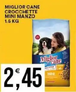 Vantaggio Cash&Carry Miglior cane crocchette mini manzo offerta