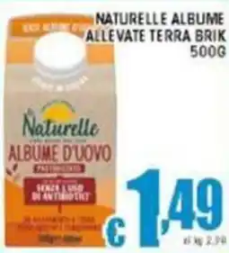 Sacoph Naturelle albume allevate terra brik offerta