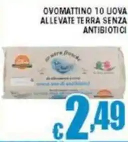 Sacoph Ovomattino 10 uova allevate terra senza antibiotici offerta