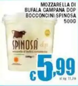 Sacoph Mozzarella di bufala campana dop bocconcini spinosa offerta