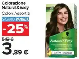 Carrefour Colorazione Natural&Easy offerta