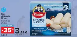 Carrefour Market Fiori di Nasello Findus offerta