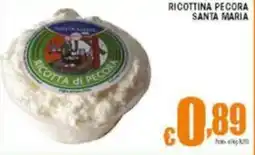 Sacoph Ricottina pecora santa maria offerta