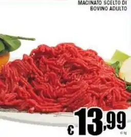 Sacoph Macinato scelto di bovino adulto offerta