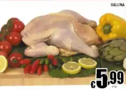 Sacoph Gallina offerta