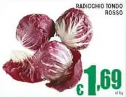 Sacoph Radicchio tondo rosso offerta