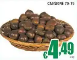 Sacoph Castagne 70-75 offerta