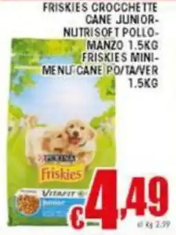 Sacoph Friskies crocchette cane junior offerta