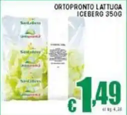 Sacoph Ortopronto lattuga iceberg offerta