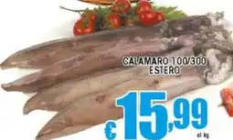 Sacoph Calamaro 100/300 estero offerta