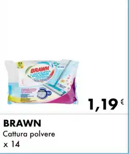 Iper Tosano BRAWN Cattura polvere offerta