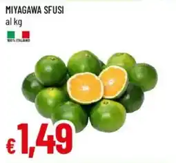 IperFamila Miyagawa sfusi offerta