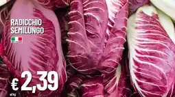 IperFamila Radicchio semilungo offerta