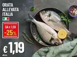IperFamila Orata allevata italia offerta