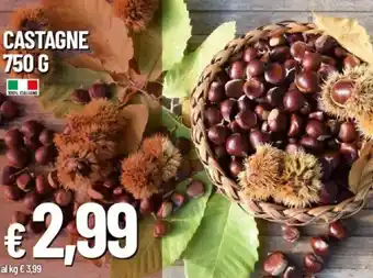 Galassia Castagne offerta