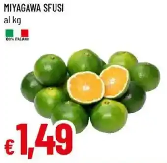 Galassia Miyagawa sfusi offerta