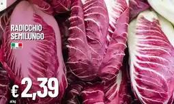 Galassia Radicchio semilungo offerta