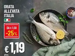 Galassia Orata allevata italia offerta