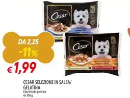 Galassia Cesar selezione in salsa/ gelatina offerta