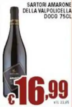 Sacoph Sartori amarone della valpolicella docg offerta