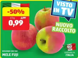 ALDI Regione che vai mele fuji offerta