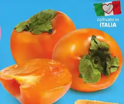 ALDI Regione che vai cachi offerta