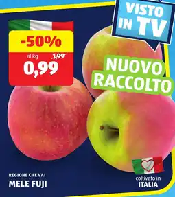ALDI Regione che vai mele fuji offerta