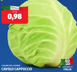 ALDI I colori del sapore cavolo cappuccio offerta