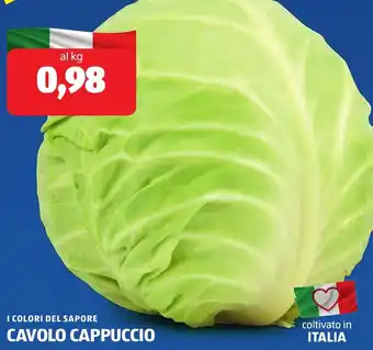 ALDI I colori del sapore cavolo cappuccio offerta