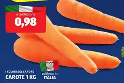 ALDI I colori del sapore carote offerta