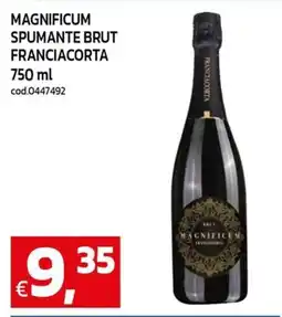 C+C Cash and Carry Magnificum spumante brut franciacorta offerta