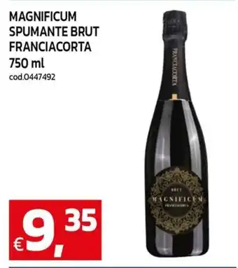 C+C Cash and Carry Magnificum spumante brut franciacorta offerta