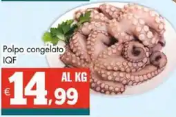 Altasfera Polpo congelato IQF offerta