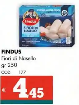Altasfera FINDUS Fiori di Nasello offerta