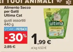 Carrefour Alimento Secco per Gatti Ultima Cat offerta
