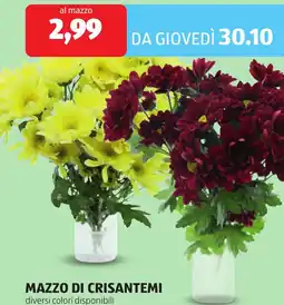 ALDI Mazzo di crisantemi offerta