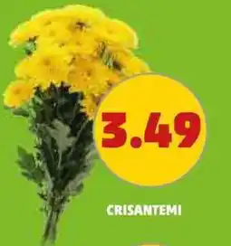 PENNY Crisantemi offerta