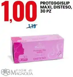 Eurospin Proteggislip maxi, disteso offerta
